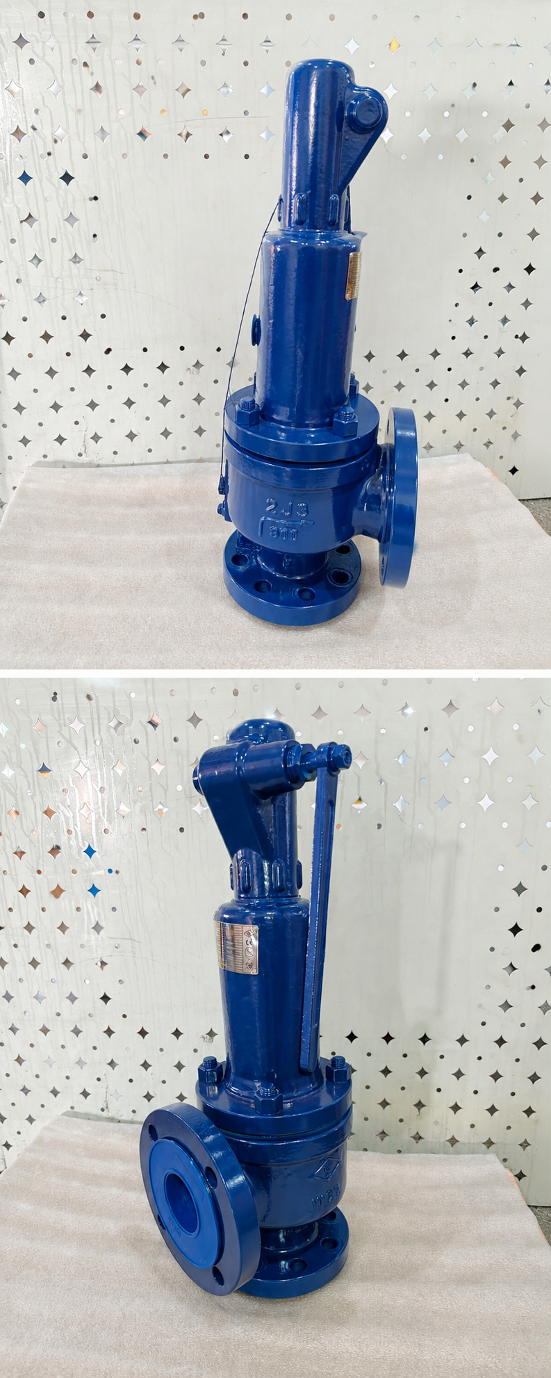 Balanced-bellows full-nozzle safety valve supplied for a Vietnam steam project